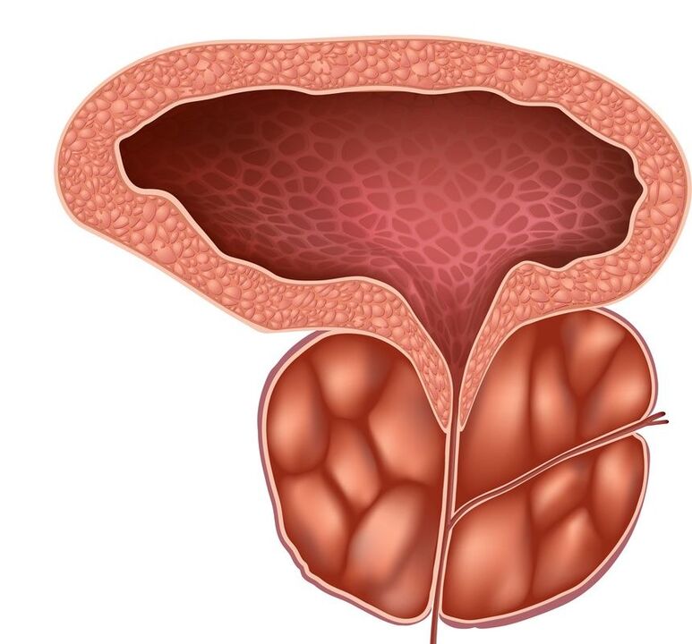 Prostata infiammata che Prostaline può gestire